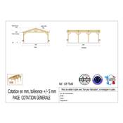 Abri 2 pentes Bois Douglas France Carport Auvent voiture 750x800cm H 250cm