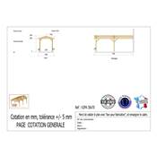 Abri 2 pentes Adossé Bois Douglas France Carport Auvent voiture 300x700cm H 250cm