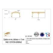 Abri 2 pentes Adossé Bois Douglas France Carport Auvent voiture 500x700cm H 250cm