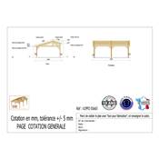 Abri 2 pentes Faitage Décalé Bois Douglas France Carport Auvent voiture 500x650cm H 250cm