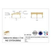 Abri 2 pentes Faitage Décalé Bois Douglas France Carport Auvent voiture 550x500cm H 250cm