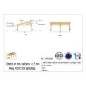 Abri 2 pentes Faitage Décalé Bois Douglas France Carport Auvent voiture 550x650cm H 250cm