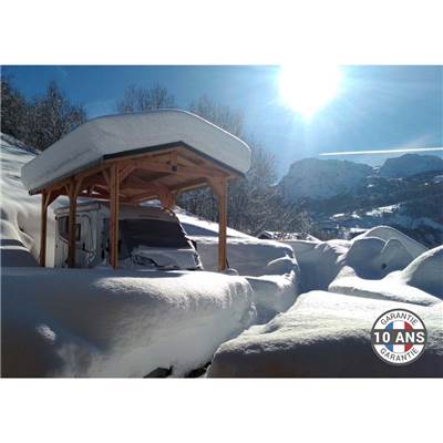 Abri 2 pentes Bois Douglas France Carport Auvent Camping-car 450x650cm H 320cm