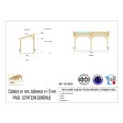 Abri 1 pente Bois Douglas France Carport Auvent voiture 300x550cm H 250cm