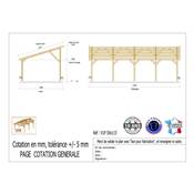 Abri 1 pente Bois Douglas France Carport Auvent voiture 500x1150cm H 250cm