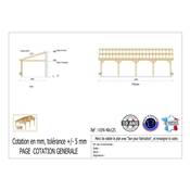Abri 1 pente Adossé Bois Douglas France Carport Auvent voiture 400x1250cm H 250cm