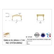 Abri 2 pentes Bois Douglas France Carport Auvent voiture 550x400cm H 250cm