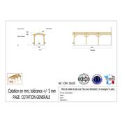 Abri 2 pentes Adossé Bois Douglas France Carport Auvent voiture 300x1050cm H 250cm
