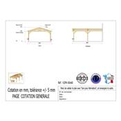 Abri 2 pentes Adossé Bois Douglas France Carport Auvent voiture 600x600cm H 250cm