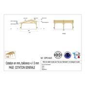 Abri 2 pentes Faitage Décalé Bois Douglas France Carport Auvent voiture 600x550cm H 250cm