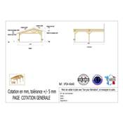 Abri 2 pentes Faitage Décalé Adossé Bois Douglas France Carport Auvent voiture 600x600cm H 250cm