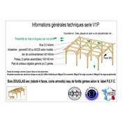 Abri 1 pente Bois Douglas France Carport Auvent voiture 300x500cm H 250cm