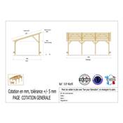 Abri 1 pente Bois Douglas France Carport Auvent voiture 400x950cm H 250cm