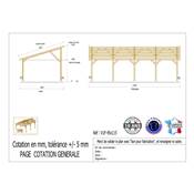 Abri 1 pente Bois Douglas France Carport Auvent voiture 450x1150cm H 250cm