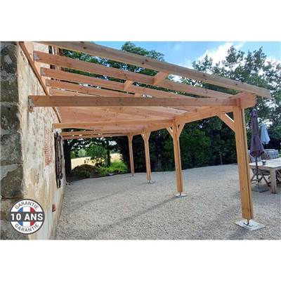 Abri 1 pente Adossé Bois Douglas France Carport Auvent voiture 350x950cm H 250cm