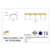 Abri 2 pentes Bois Douglas France Carport Auvent voiture 450x1150cm H 250cm