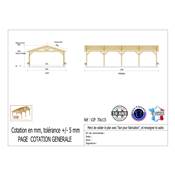 Abri 2 pentes Bois Douglas France Carport Auvent voiture700x1150cm H 250cm