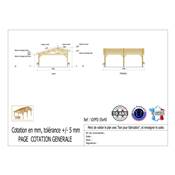 Abri 2 pentes Faitage Décalé Bois Douglas France Carport Auvent voiture 550x450cm H 250cm