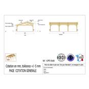 Abri 2 pentes Faitage Décalé Bois Douglas France Carport Auvent voiture 600x800cm H 250cm