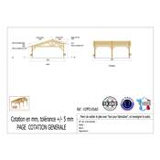 Abri 2 pentes Faitage Décalé Bois Douglas France Carport Auvent voiture 650x650cm H 250cm