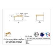 Abri 2 pentes Faitage Décalé Adossé Bois Douglas France Carport Auvent voiture 500x400cm H 250cm
