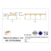 Abri 2 pentes Faitage Décalé Adossé Bois Douglas France Carport Auvent voiture 550x1250cm H 250cm
