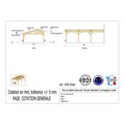 Abri 2 pentes Faitage Décalé Adossé Bois Douglas France Carport Auvent voiture 550x800cm H 250cm