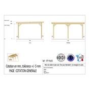 Abri Toit Plat Bois Douglas France Carport Auvent voiture 450x550cm H 250cm