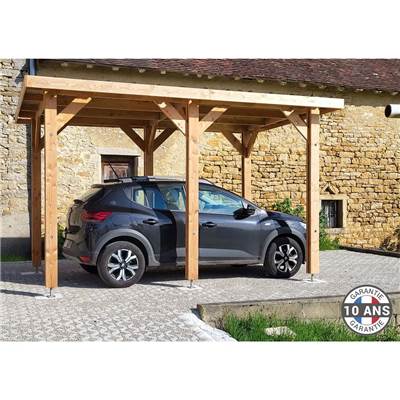 Abri Toit Plat Bois Douglas France Carport Auvent voiture 800x600cm H 250cm