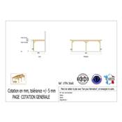 Abri Toit Plat Adossé Bois Douglas France Carport Auvent voiture 300x600cm H 250cm