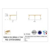 Abri Toit Plat Adossé Bois Douglas France Carport Auvent voiture 400x550cm H 250cm