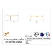 Abri Toit Plat Adossé Bois Douglas France Carport Auvent voiture 450x550cm H 250cm