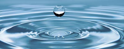 Economiser de l'eau et respecter l'environnement avec les systèmes de micro irrigation Ribimex