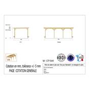 Abri Toit Plat Bois Douglas France Carport Auvent Camping-car 500x950cm H 320cm