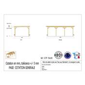 Abri Toit Plat Bois Douglas France Carport Auvent Camping-car 550x1050cm H 320cm