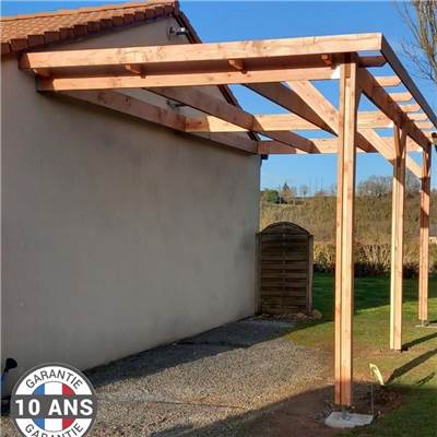 Abri Toit Plat Adossé Bois Douglas France Carport Auvent Camping-car 500x950cm H 320cm