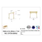 Abri 1 pente Bois Douglas France Carport Auvent voiture 350x400cm H 250cm