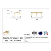 Abri 2 pentes Bois Douglas France Carport Auvent voiture 400x600cm H 250cm