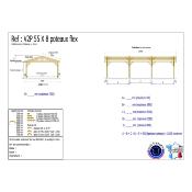 Abri 2 pentes Bois Douglas France Carport Auvent voiture 550x1100cm max H 250cm
