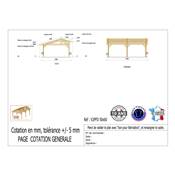 Abri 2 pentes Faitage Décalé Bois Douglas France Carport Auvent voiture 500x600cm H 250cm