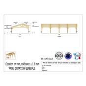 Abri 2 pentes Faitage Décalé Bois Douglas France Carport Auvent voiture 650x1250cm H 250cm