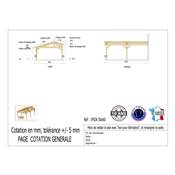 Abri 2 pentes Faitage Décalé Adossé Bois Douglas France Carport Auvent voiture 500x600cm H 250cm