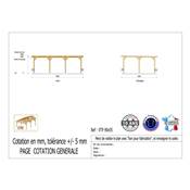 Abri Toit Plat Bois Douglas France Carport Auvent voiture 900x550cm H 250cm