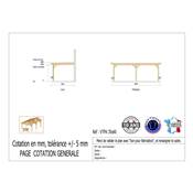 Abri Toit Plat Adossé Bois Douglas France Carport Auvent voiture 350x600cm H 250cm