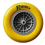 Roue increvable pour brouette