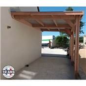 Abri Toit Plat Adossé Bois Douglas France Carport Auvent Camping-car 350x800cm H 320cm
