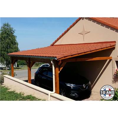 Abri 1 pente Adossé Bois Douglas France Carport Auvent voiture 300x700cm H 250cm