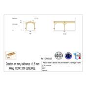Abri 2 pentes Adossé Bois Douglas France Carport Auvent voiture 350x550cm H 250cm