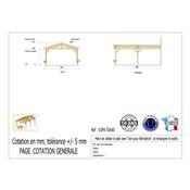 Abri 2 pentes Adossé Bois Douglas France Carport Auvent voiture 550x600cm H 250cm