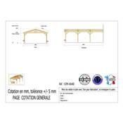 Abri 2 pentes Adossé Bois Douglas France Carport Auvent voiture 600x800cm H 250cm